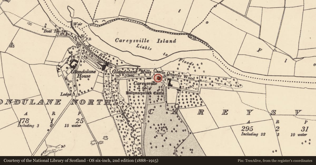 Ordnance Survey six-inch map, 2nd edition (1888–1915) covering the location of Castle - unclassified, Careysville, County Cork, with a pin at the register's coordinates