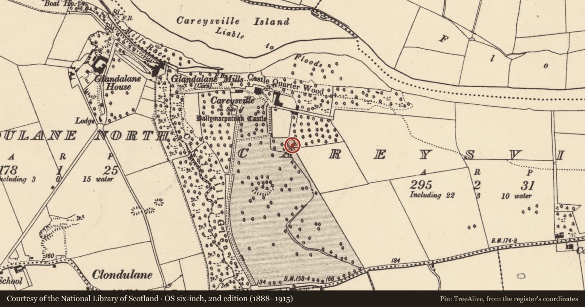Ordnance Survey six-inch map, 2nd edition (1888–1915) covering the location of Fish-pond, Careysville, County Cork, with a pin at the register's coordinates