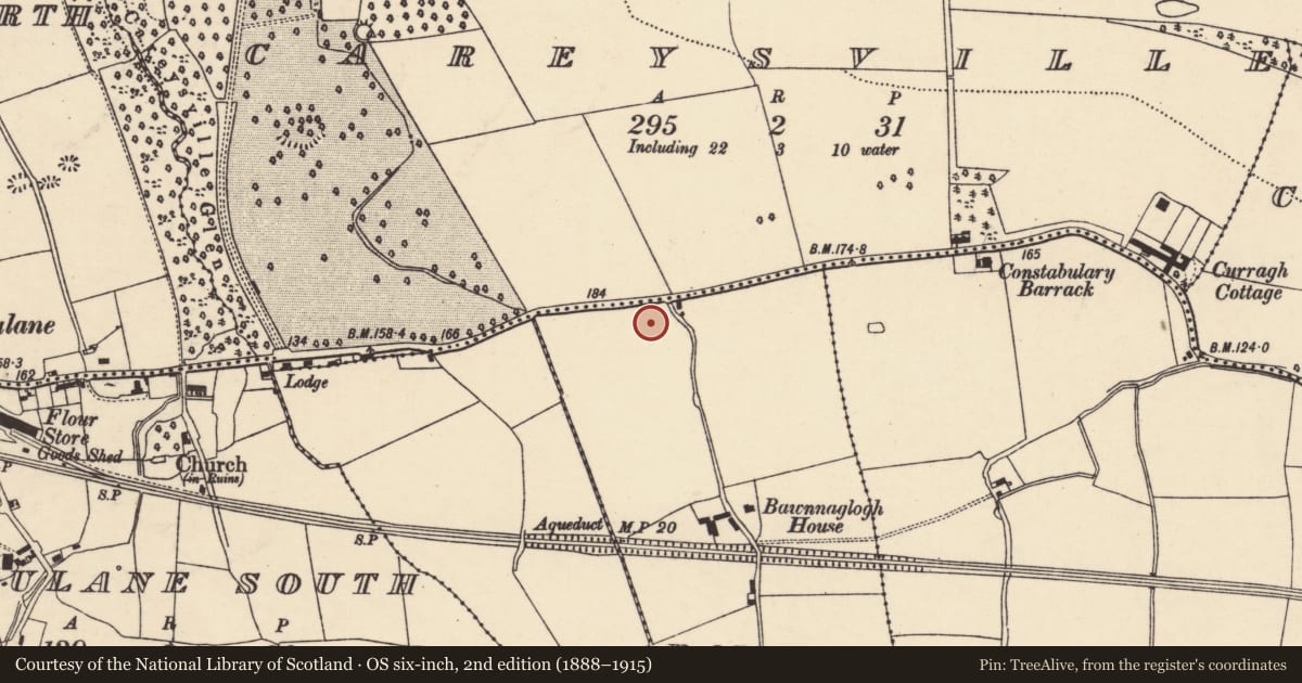 Ordnance Survey six-inch map, 2nd edition (1888–1915) covering the location of Fulacht fia, Bawnnaglogh, County Cork, with a pin at the register's coordinates