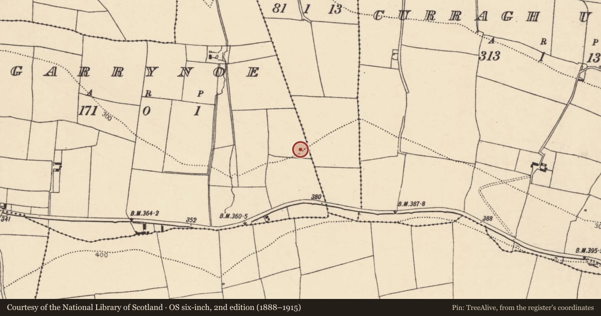 Ordnance Survey six-inch map, 2nd edition (1888–1915) covering the location of Excavation - miscellaneous, Garrynoe, County Cork, with a pin at the register's coordinates