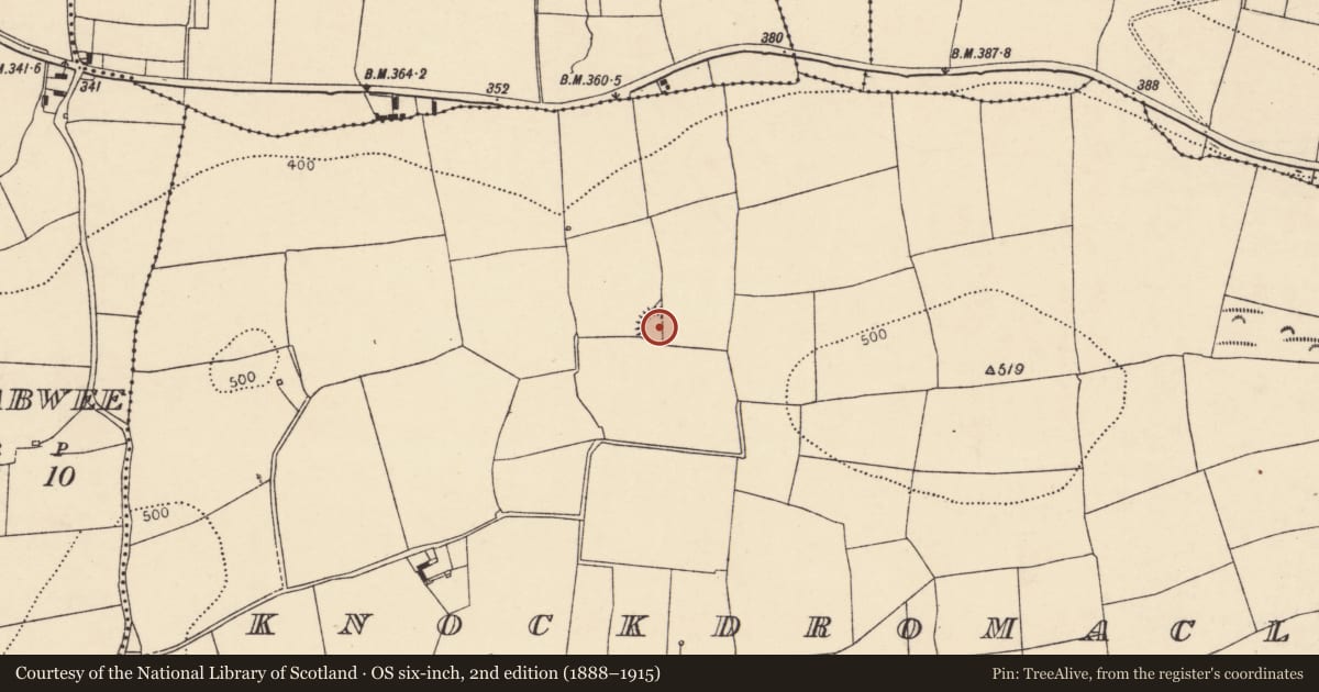 Ordnance Survey six-inch map, 2nd edition (1888–1915) covering the location of Ringfort - rath, Knockdromaclogh, County Cork, with a pin at the register's coordinates