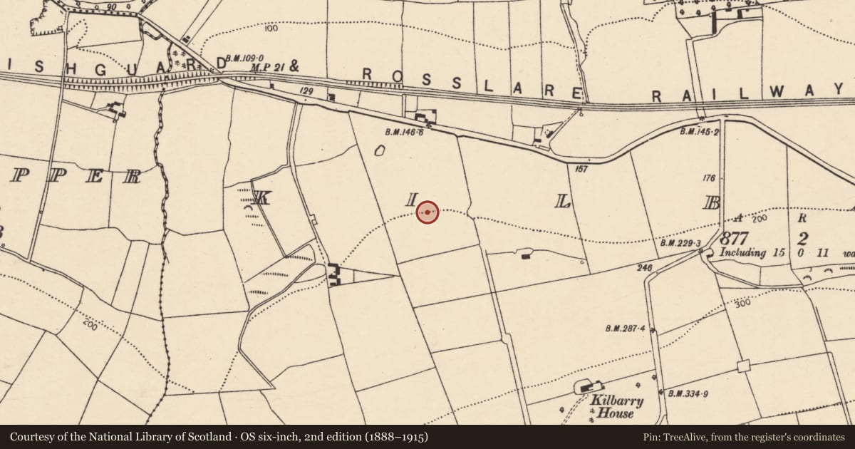 Ordnance Survey six-inch map, 2nd edition (1888–1915) covering the location of Ringfort - rath, Kilbarry, County Cork, with a pin at the register's coordinates