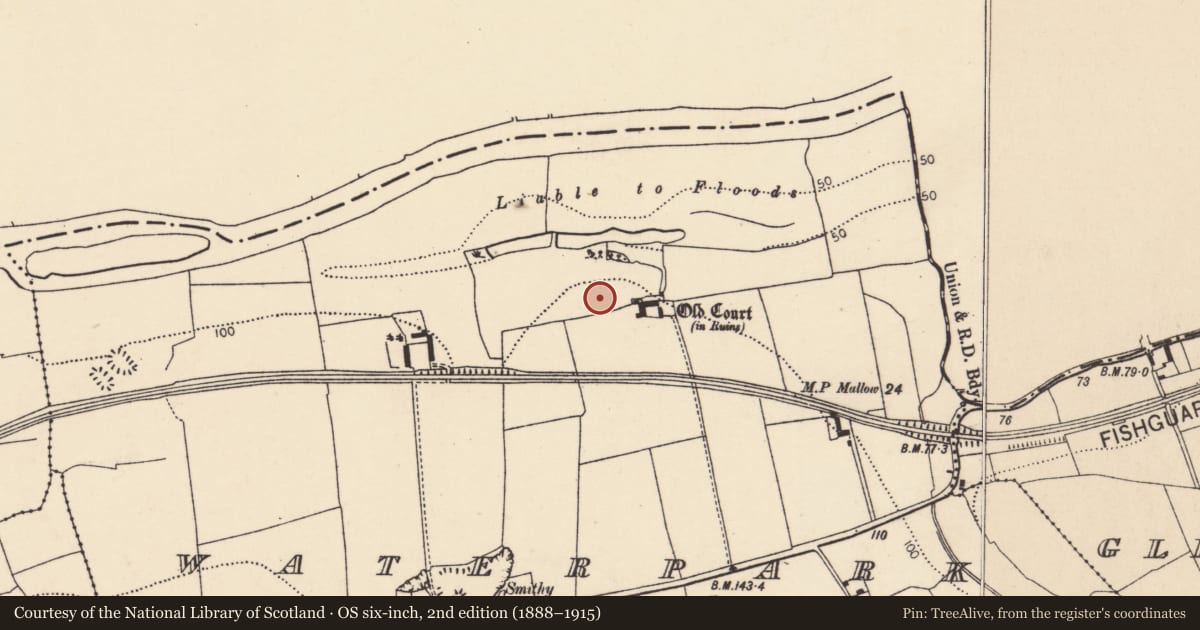 Ordnance Survey six-inch map, 2nd edition (1888–1915) covering the location of Dovecote, Waterpark, County Cork, with a pin at the register's coordinates