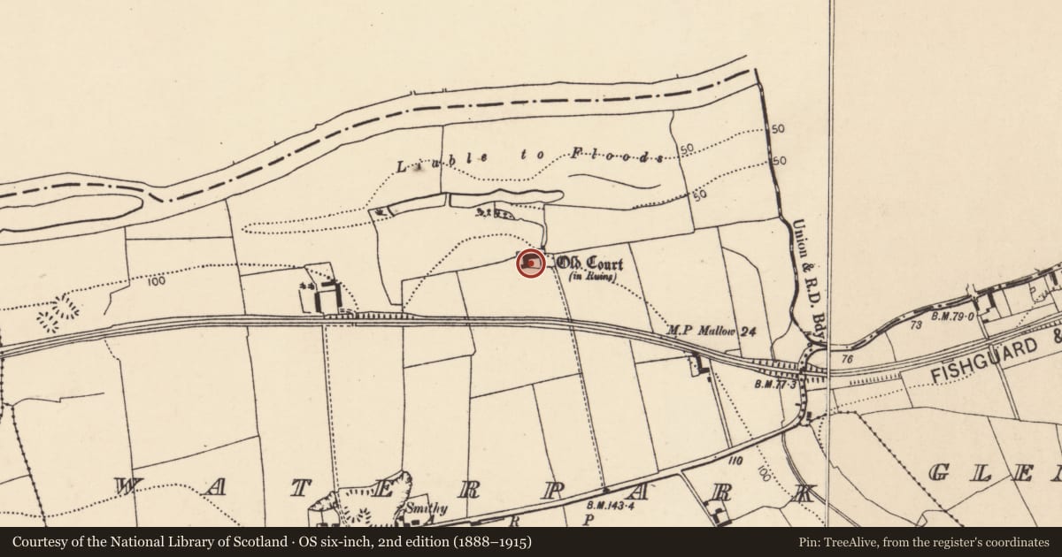 Ordnance Survey six-inch map, 2nd edition (1888–1915) covering the location of Country house, Waterpark, County Cork, with a pin at the register's coordinates