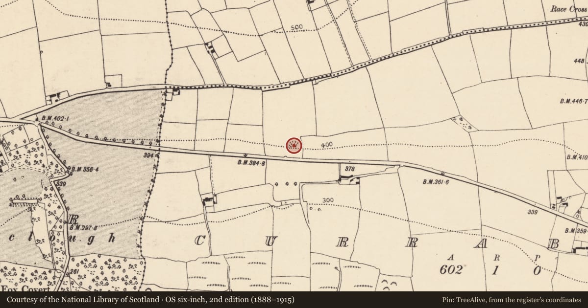 Ordnance Survey six-inch map, 2nd edition (1888–1915) covering the location of Ringfort - rath, Currabeha (Condons and Clongibbon By., Castlelyons Par.), County Cork, with a pin at the register's coordinates
