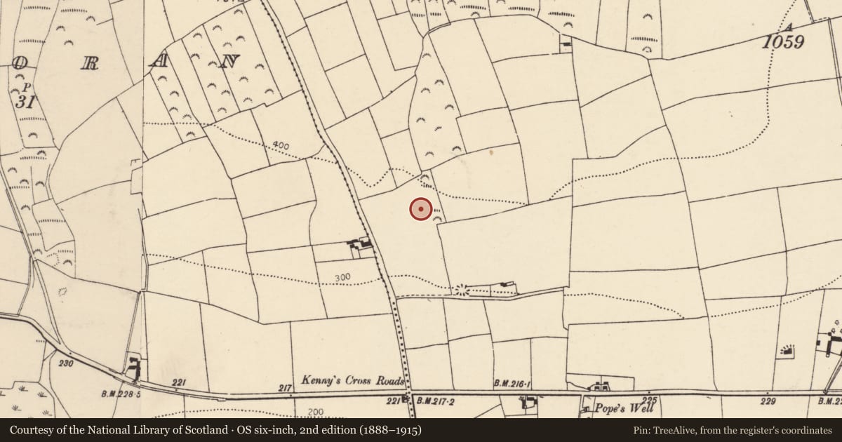 Ordnance Survey six-inch map, 2nd edition (1888–1915) covering the location of Ritual site - holy well, Glenarousk, County Cork, with a pin at the register's coordinates