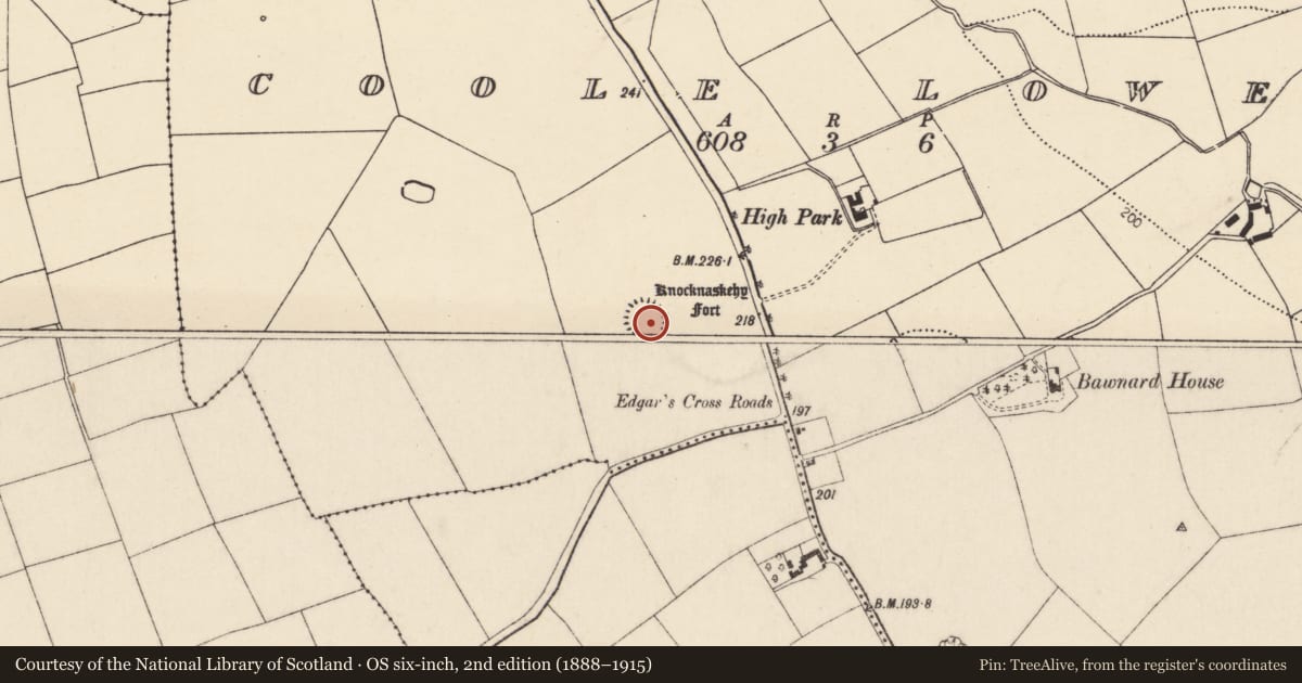 Ordnance Survey six-inch map, 2nd edition (1888–1915) covering the location of Ringfort - rath, Coole Lower, County Cork, with a pin at the register's coordinates