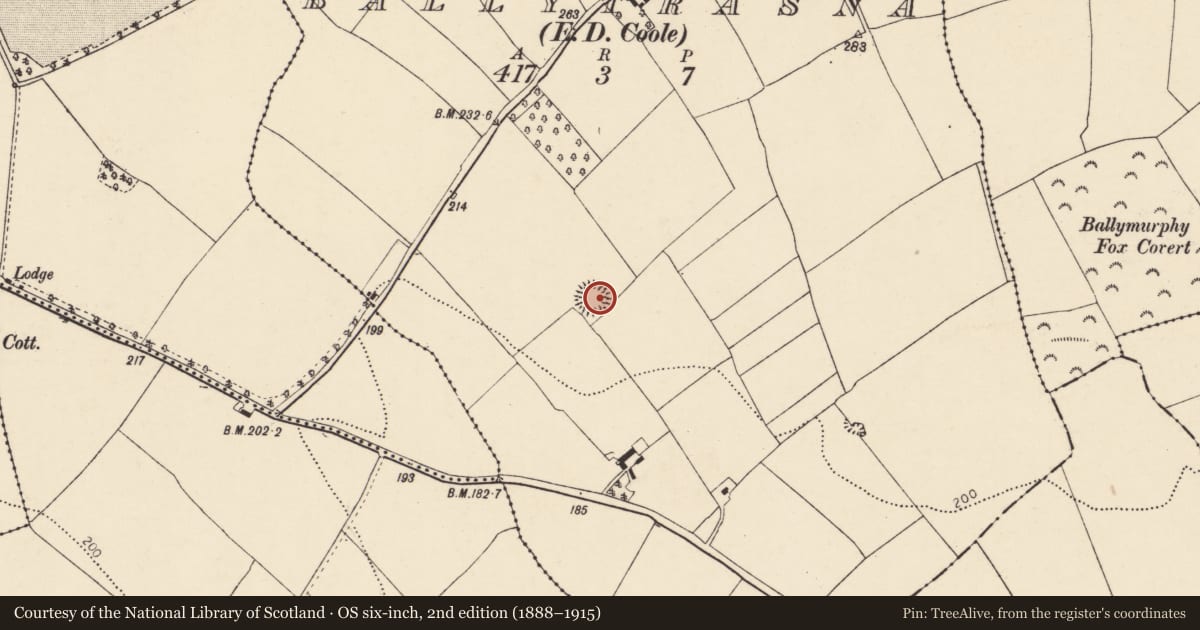 Ordnance Survey six-inch map, 2nd edition (1888–1915) covering the location of Ringfort - rath, Ballytrasna (Barrymore By., Castlelyons Par.), County Cork, with a pin at the register's coordinates