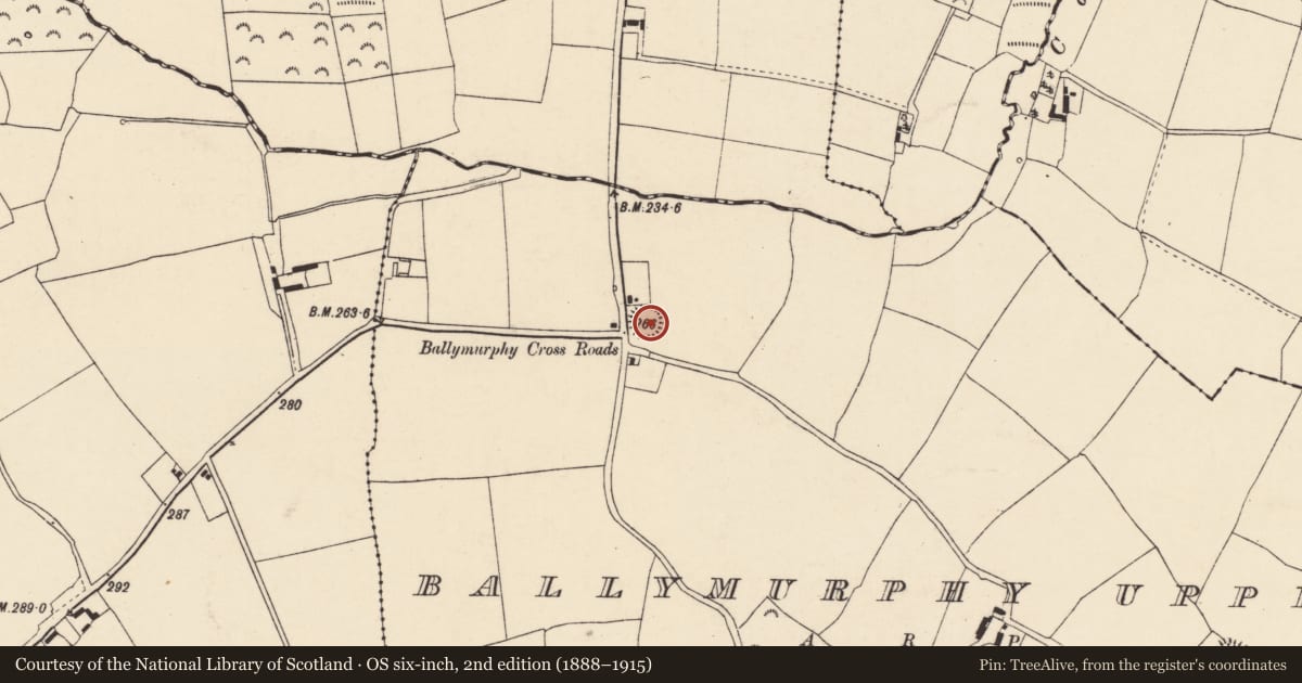 Ordnance Survey six-inch map, 2nd edition (1888–1915) covering the location of Ringfort - rath, Ballymurphy Upper, County Cork, with a pin at the register's coordinates