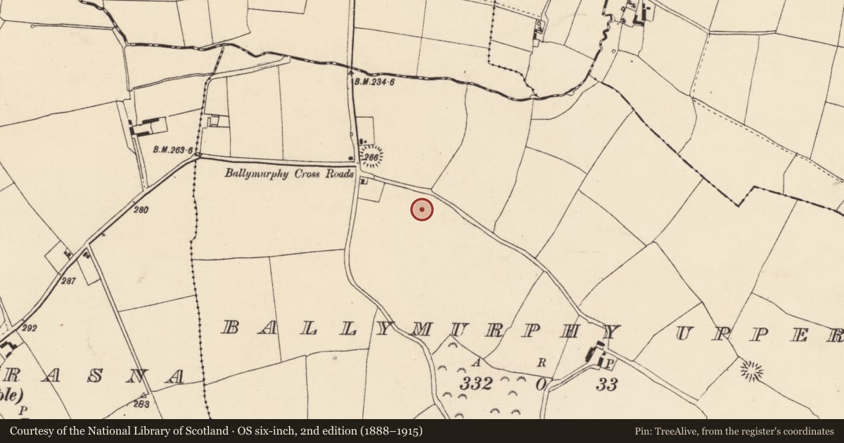 Ordnance Survey six-inch map, 2nd edition (1888–1915) covering the location of Ringfort - rath, Ballymurphy Upper, County Cork, with a pin at the register's coordinates