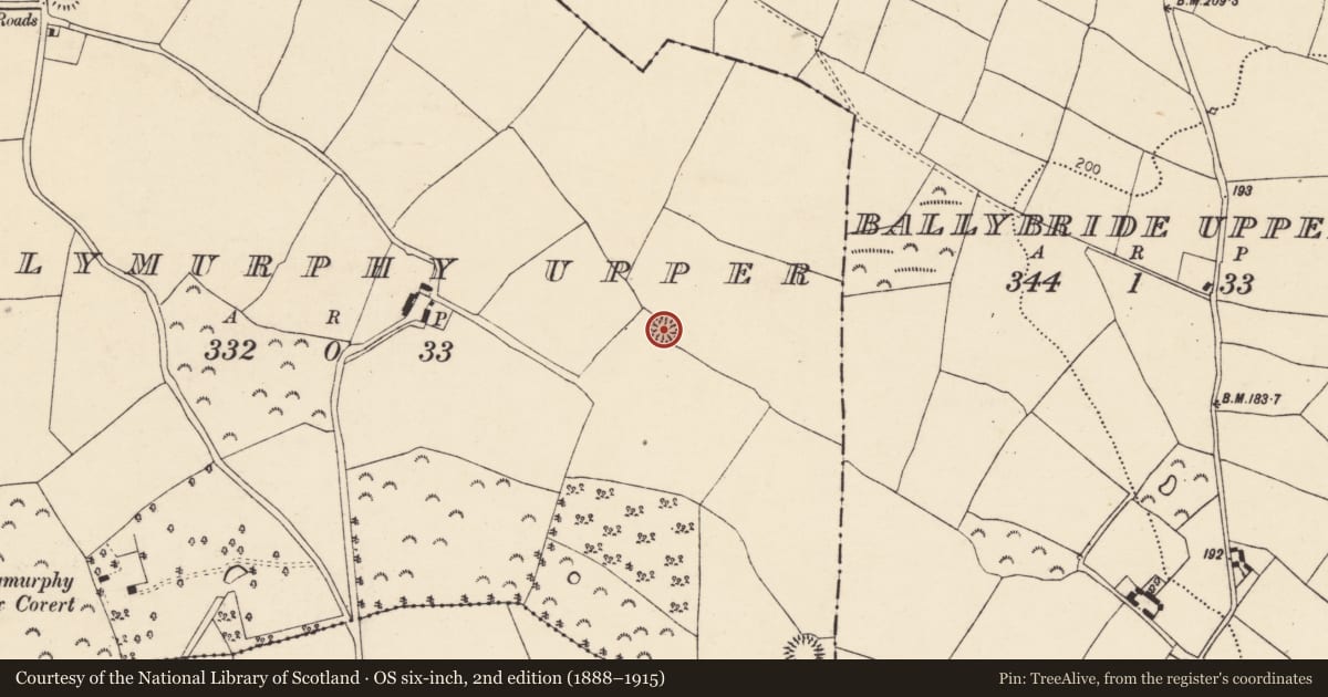 Ordnance Survey six-inch map, 2nd edition (1888–1915) covering the location of Ringfort - rath, Ballymurphy Upper, County Cork, with a pin at the register's coordinates