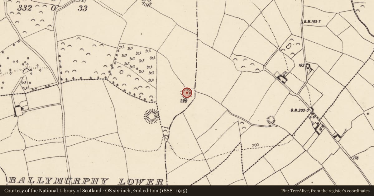 Ordnance Survey six-inch map, 2nd edition (1888–1915) covering the location of Ringfort - rath, Ballymurphy Upper, County Cork, with a pin at the register's coordinates