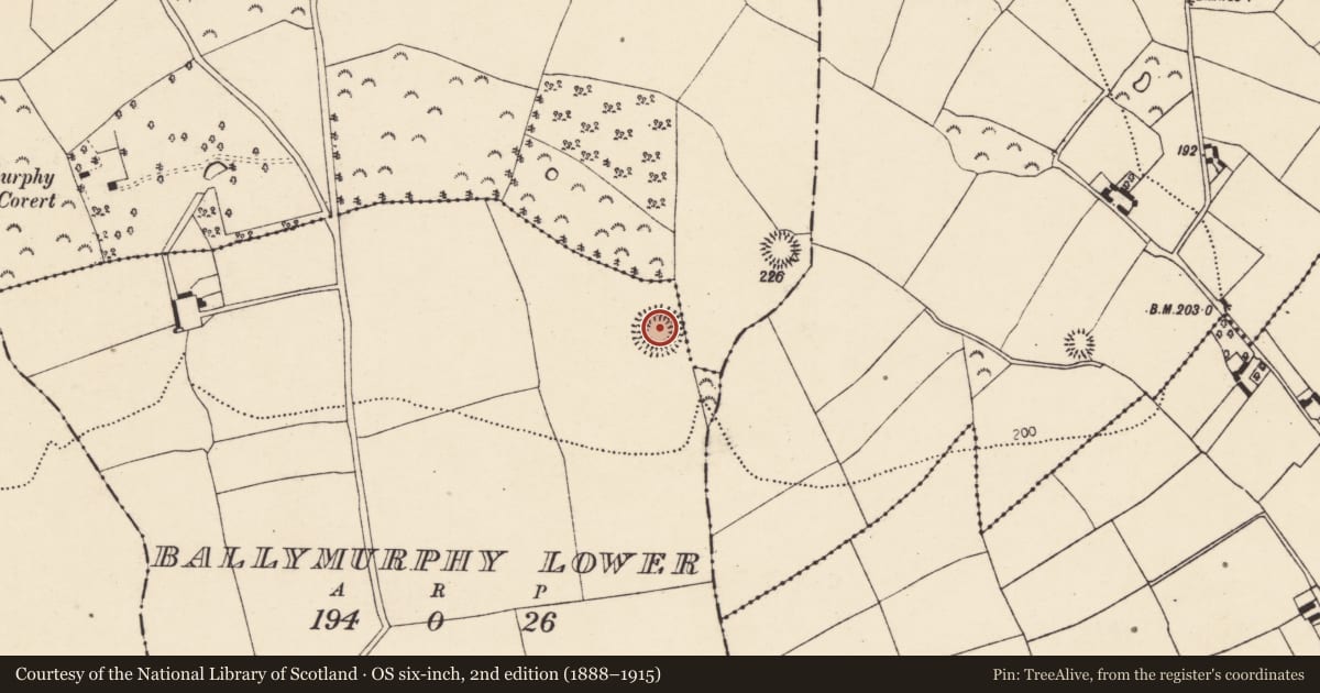 Ordnance Survey six-inch map, 2nd edition (1888–1915) covering the location of Ringfort - rath, Ballymurphy Lower, County Cork, with a pin at the register's coordinates