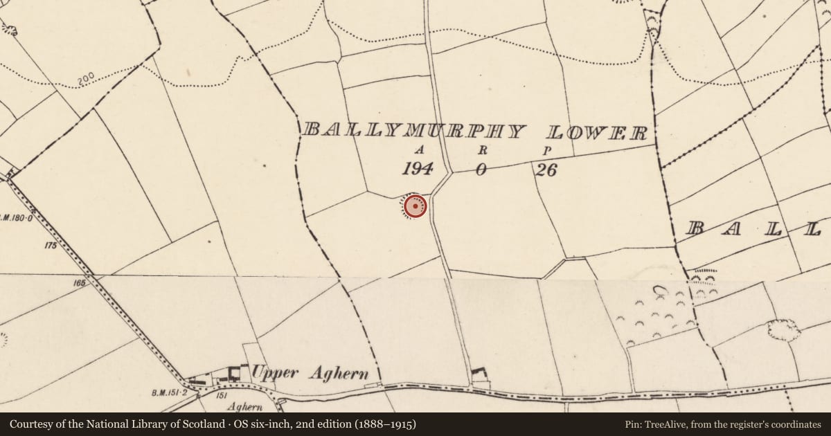 Ordnance Survey six-inch map, 2nd edition (1888–1915) covering the location of Ringfort - rath, Ballymurphy Lower, County Cork, with a pin at the register's coordinates