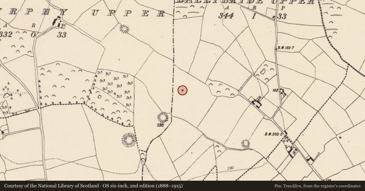 Ordnance Survey six-inch map, 2nd edition (1888–1915) covering the location of Ringfort - rath, Ballybride Upper, County Cork, with a pin at the register's coordinates