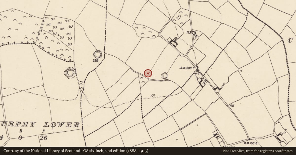 Ordnance Survey six-inch map, 2nd edition (1888–1915) covering the location of Ringfort - rath, Ballybride Upper, County Cork, with a pin at the register's coordinates