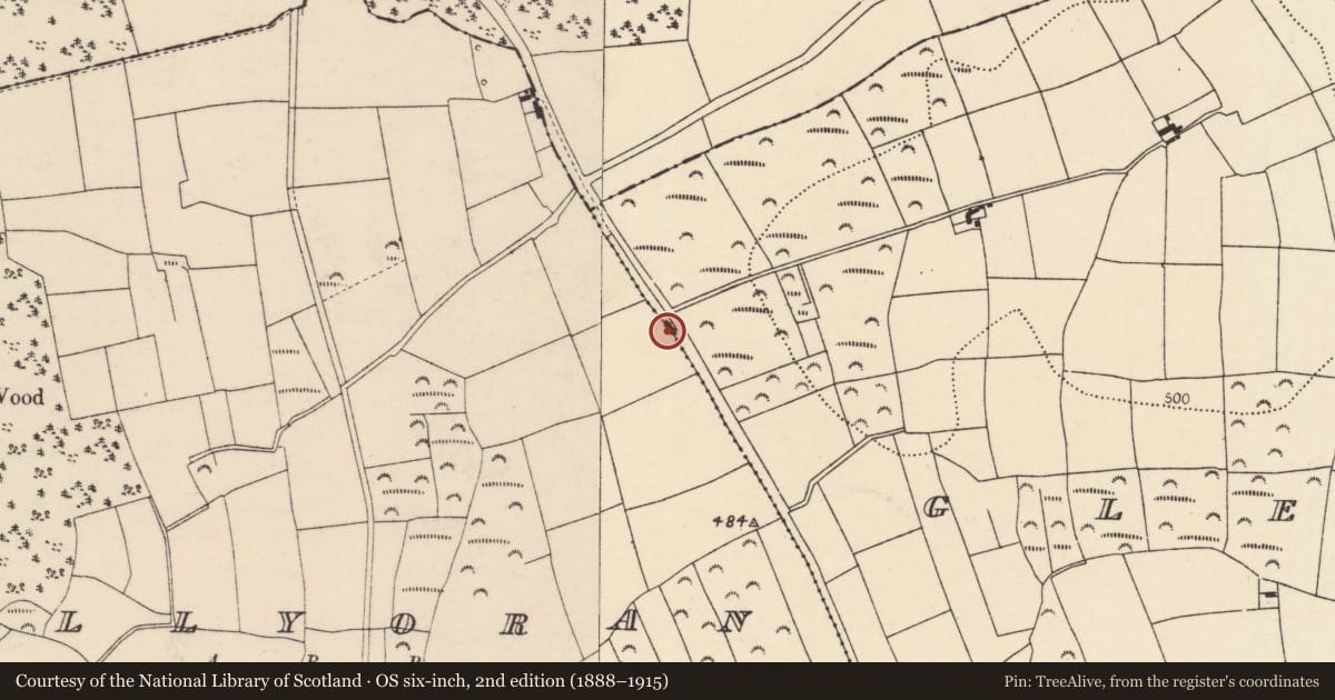 Ordnance Survey six-inch map, 2nd edition (1888–1915) covering the location of House - vernacular house, Glenarousk, County Cork, with a pin at the register's coordinates
