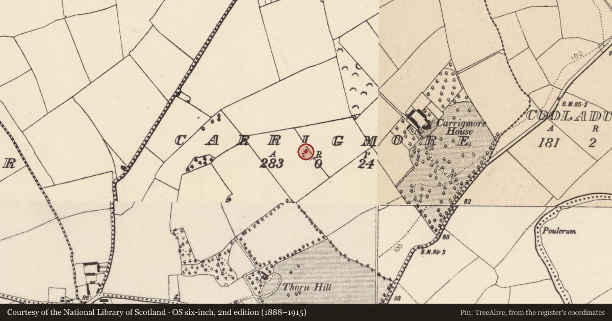 Ordnance Survey six-inch map, 2nd edition (1888–1915) covering the location of Quarry, Carrigmore, County Cork, with a pin at the register's coordinates