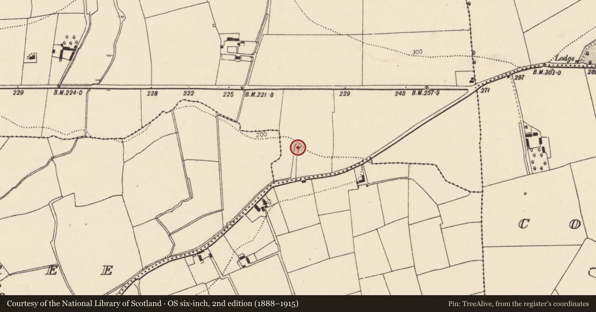 Ordnance Survey six-inch map, 2nd edition (1888–1915) covering the location of Fulacht fia, Glenarousk, County Cork, with a pin at the register's coordinates