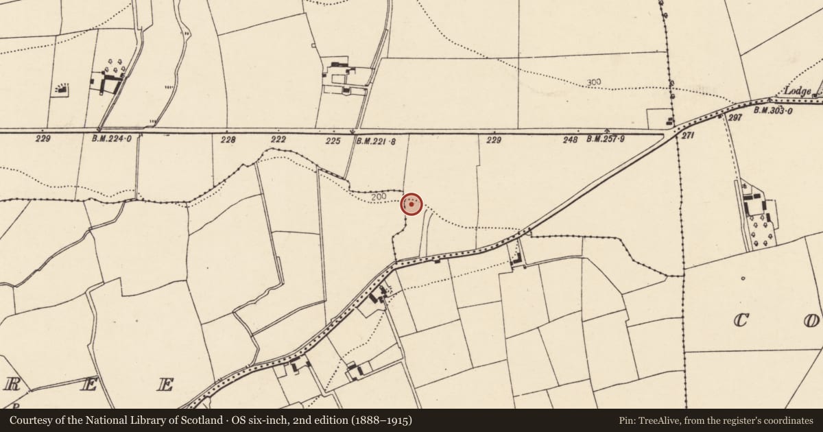 Ordnance Survey six-inch map, 2nd edition (1888–1915) covering the location of Fulacht fia, Glenarousk, County Cork, with a pin at the register's coordinates