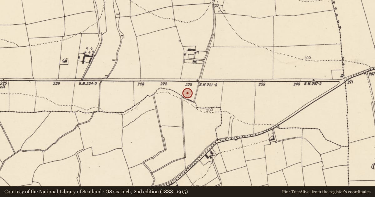 Ordnance Survey six-inch map, 2nd edition (1888–1915) covering the location of Fulacht fia, Glenarousk, County Cork, with a pin at the register's coordinates