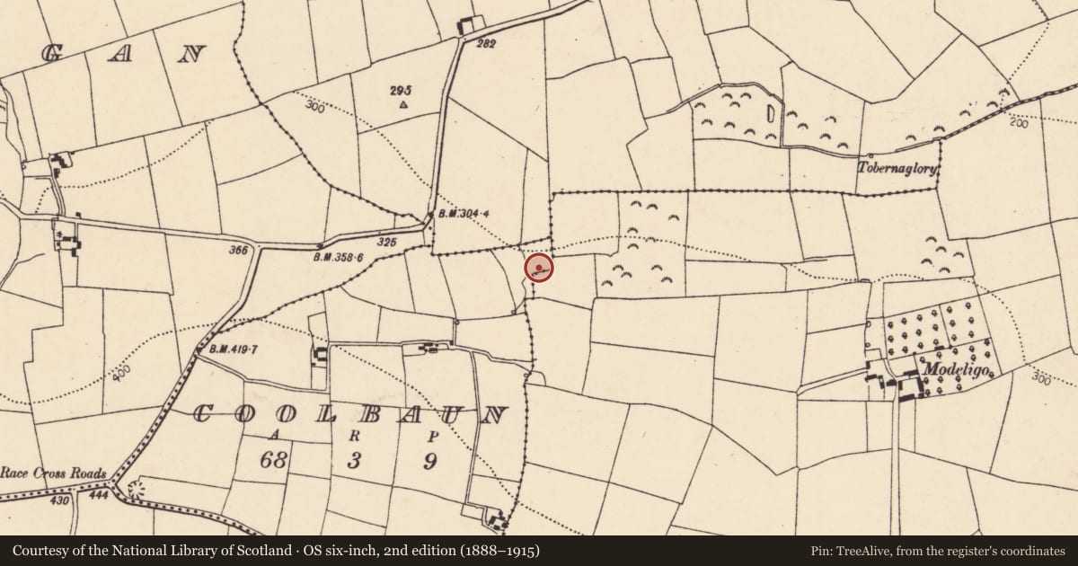 Ordnance Survey six-inch map, 2nd edition (1888–1915) covering the location of Fulacht fia, Coolbaun, County Cork, with a pin at the register's coordinates