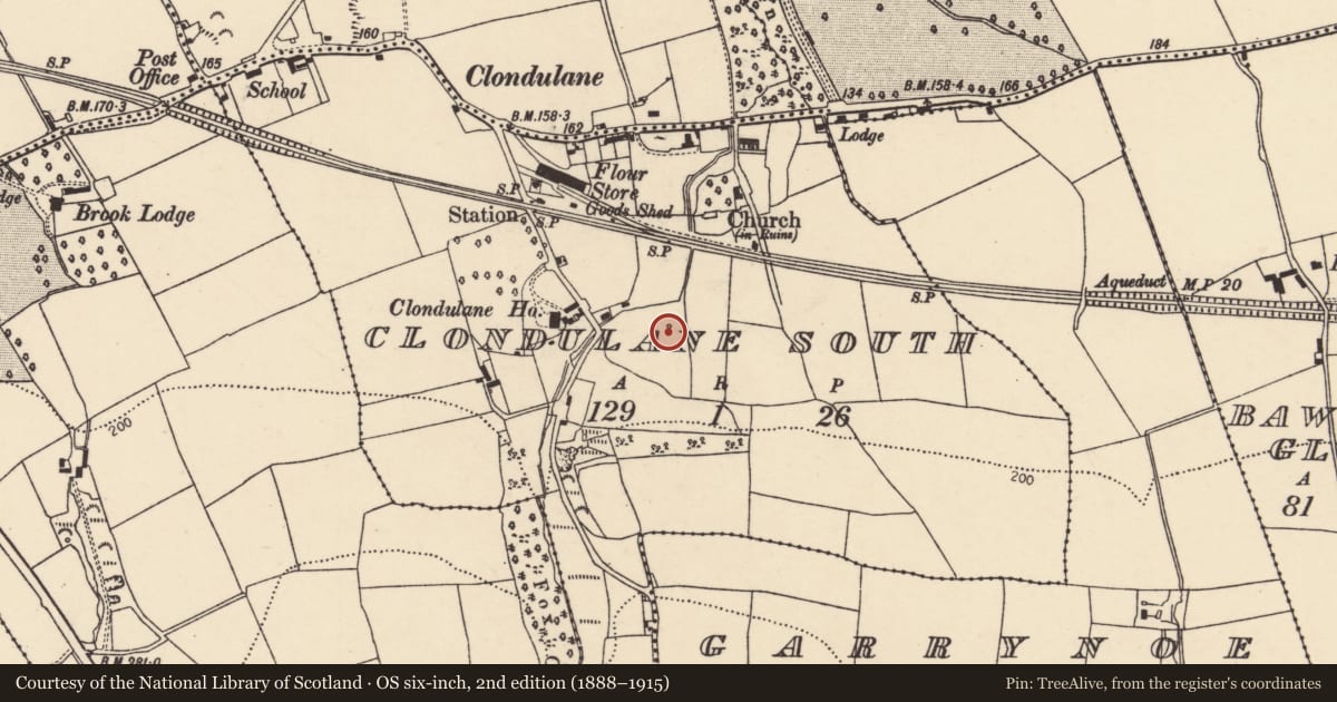 Ordnance Survey six-inch map, 2nd edition (1888–1915) covering the location of Ritual site - holy well, Clondulane South, County Cork, with a pin at the register's coordinates