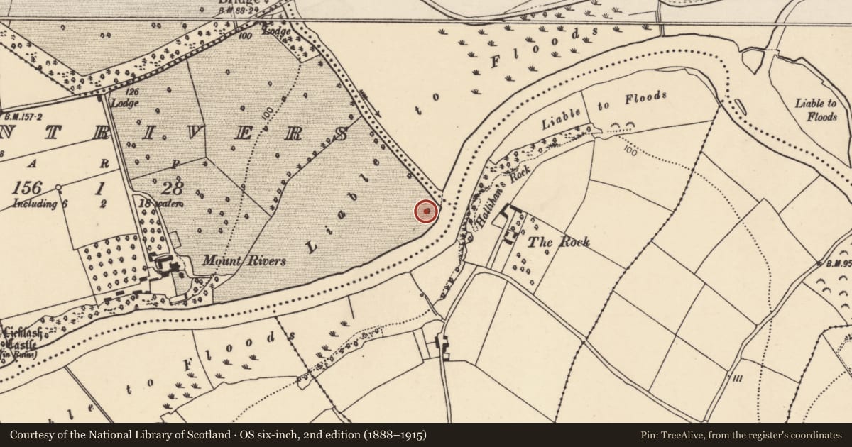 Ordnance Survey six-inch map, 2nd edition (1888–1915) covering the location of Earthwork, Mountrivers, County Cork, with a pin at the register's coordinates