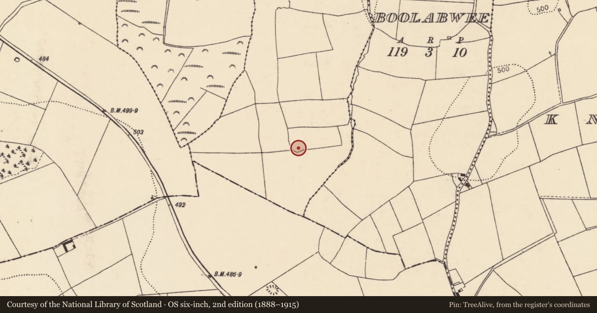 Ordnance Survey six-inch map, 2nd edition (1888–1915) covering the location of Enclosure, Ballynafauna, County Cork, with a pin at the register's coordinates