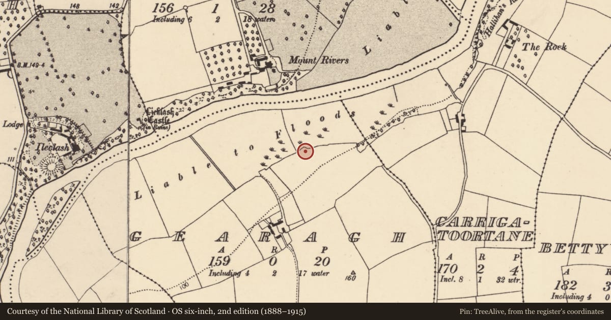 Ordnance Survey six-inch map, 2nd edition (1888–1915) covering the location of Enclosure, Gearagh, County Cork, with a pin at the register's coordinates