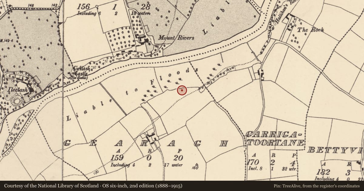 Ordnance Survey six-inch map, 2nd edition (1888–1915) covering the location of Enclosure, Gearagh, County Cork, with a pin at the register's coordinates