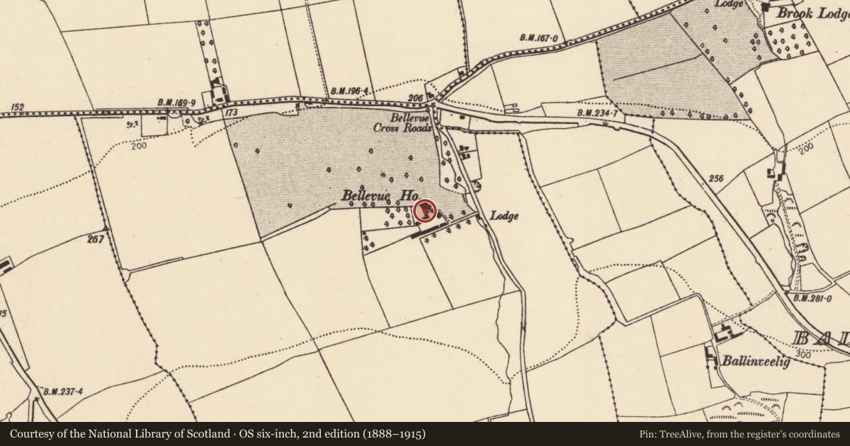 Ordnance Survey six-inch map, 2nd edition (1888–1915) covering the location of Country house, Ballyvadona, County Cork, with a pin at the register's coordinates