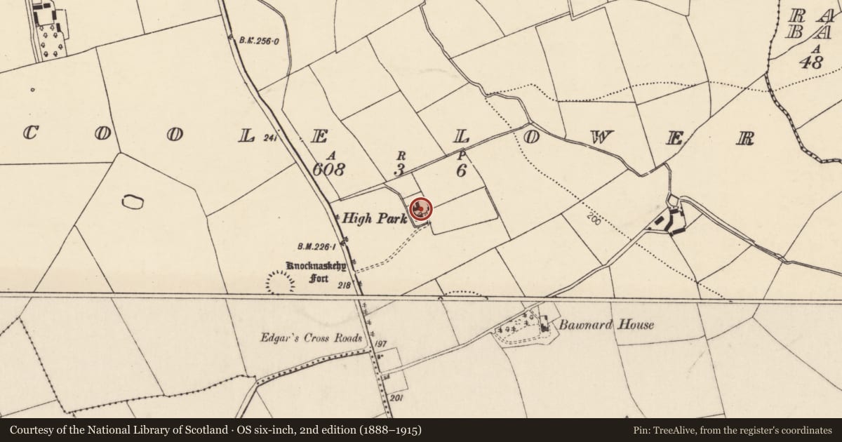 Ordnance Survey six-inch map, 2nd edition (1888–1915) covering the location of Country house, Coole Lower, County Cork, with a pin at the register's coordinates