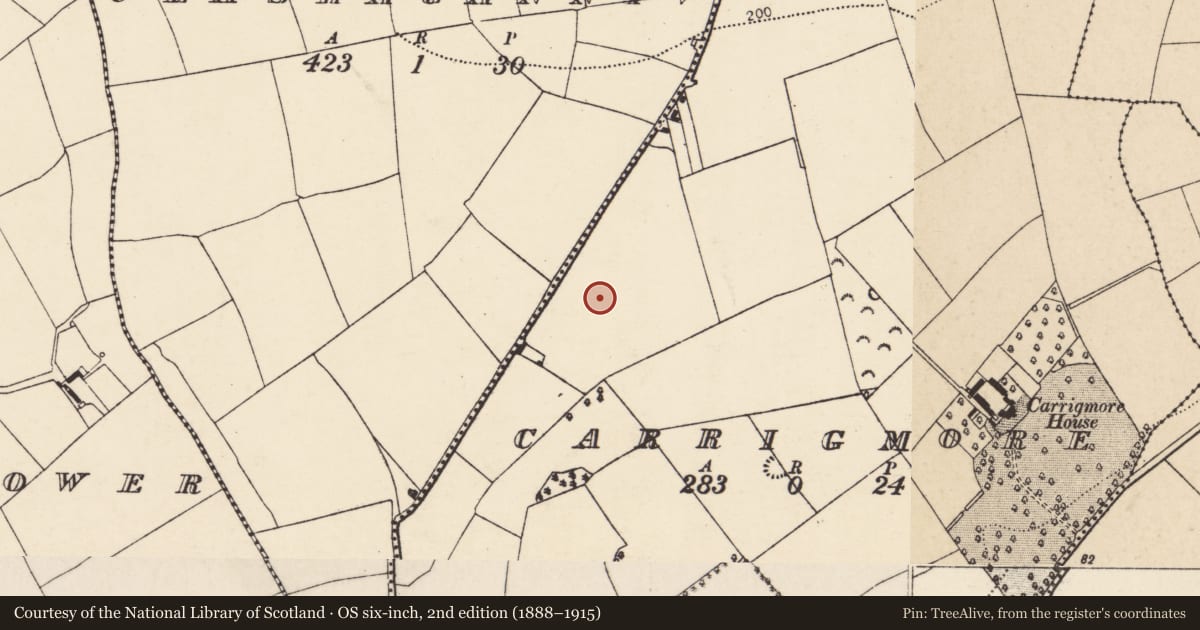 Ordnance Survey six-inch map, 2nd edition (1888–1915) covering the location of Ringfort - rath, Carrigmore, County Cork, with a pin at the register's coordinates