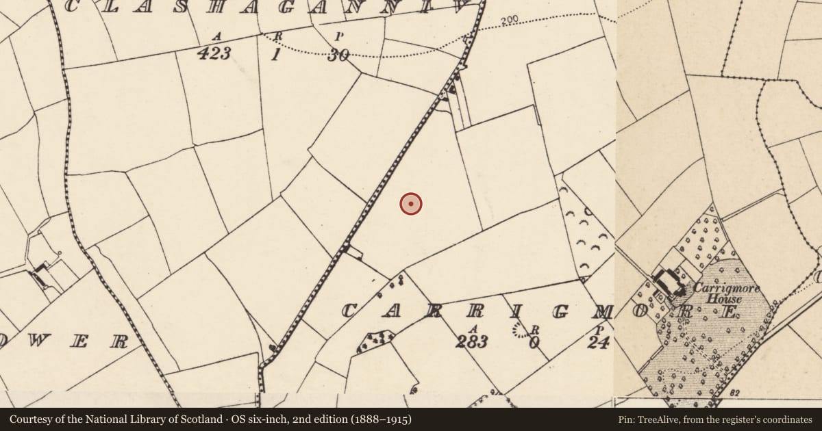 Ordnance Survey six-inch map, 2nd edition (1888–1915) covering the location of Standing stone, Carrigmore, County Cork, with a pin at the register's coordinates