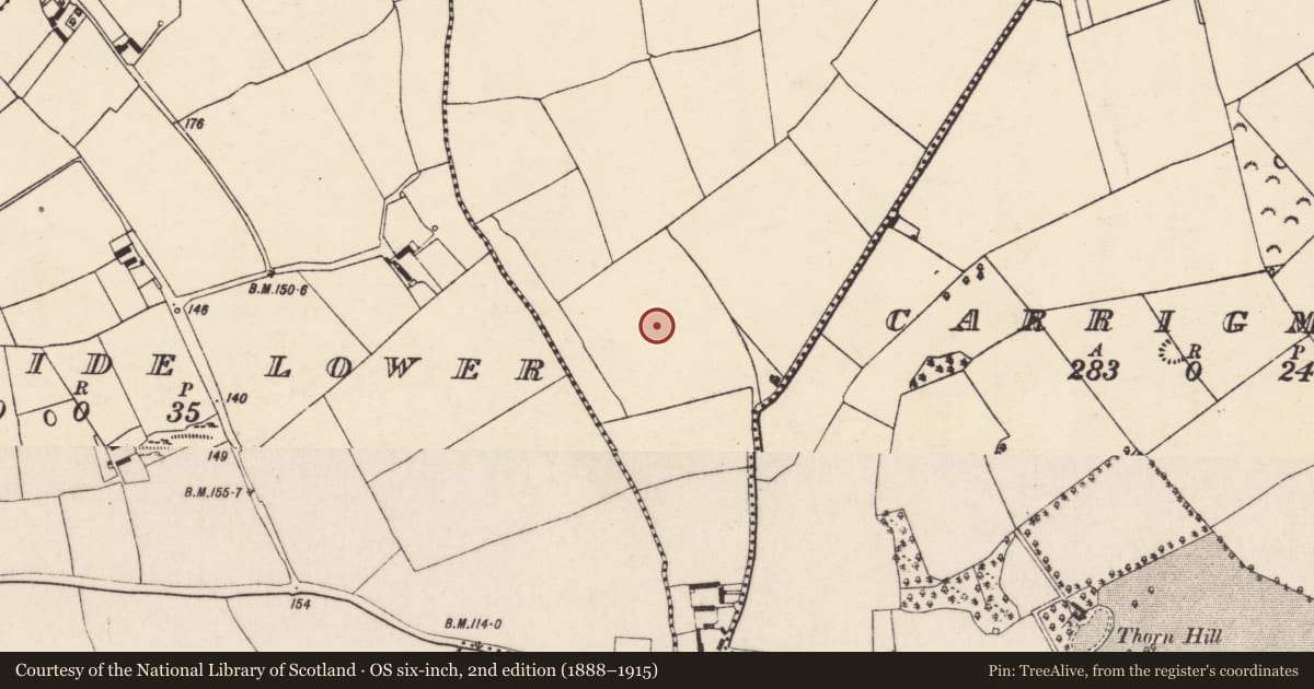 Ordnance Survey six-inch map, 2nd edition (1888–1915) covering the location of Standing stone, Clashaganniv, County Cork, with a pin at the register's coordinates