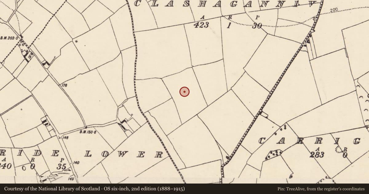 Ordnance Survey six-inch map, 2nd edition (1888–1915) covering the location of Standing stone, Clashaganniv, County Cork, with a pin at the register's coordinates