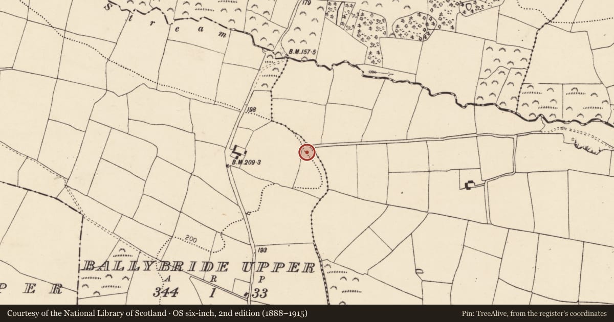 Ordnance Survey six-inch map, 2nd edition (1888–1915) covering the location of Moated site, Ballybride Upper, County Cork, with a pin at the register's coordinates