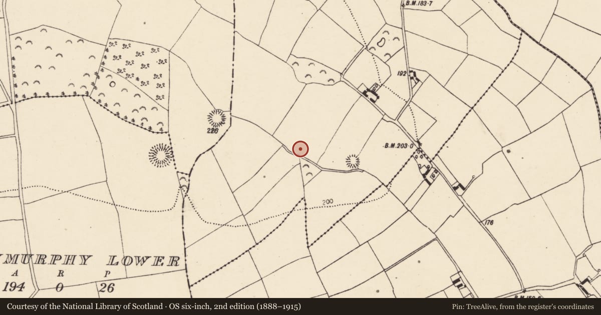 Ordnance Survey six-inch map, 2nd edition (1888–1915) covering the location of Ringfort - rath, Ballybride Upper, County Cork, with a pin at the register's coordinates