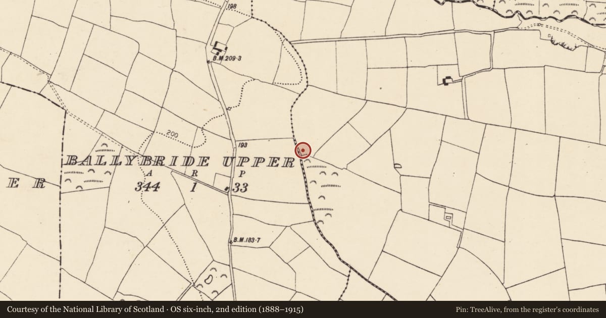 Ordnance Survey six-inch map, 2nd edition (1888–1915) covering the location of Moated site, Clashaganniv, County Cork, with a pin at the register's coordinates