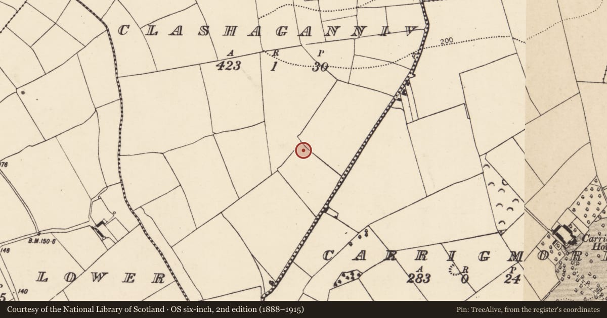 Ordnance Survey six-inch map, 2nd edition (1888–1915) covering the location of Ringfort - rath, Clashaganniv, County Cork, with a pin at the register's coordinates