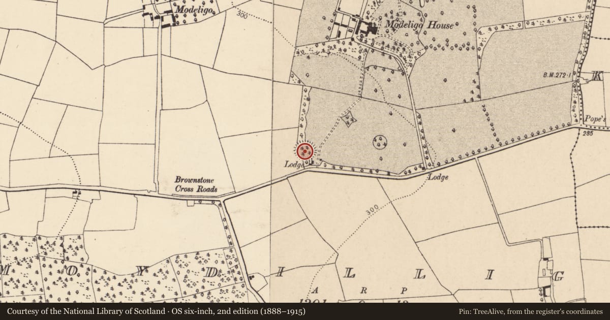Ordnance Survey six-inch map, 2nd edition (1888–1915) covering the location of Ringfort - rath, Moydilliga, County Cork, with a pin at the register's coordinates