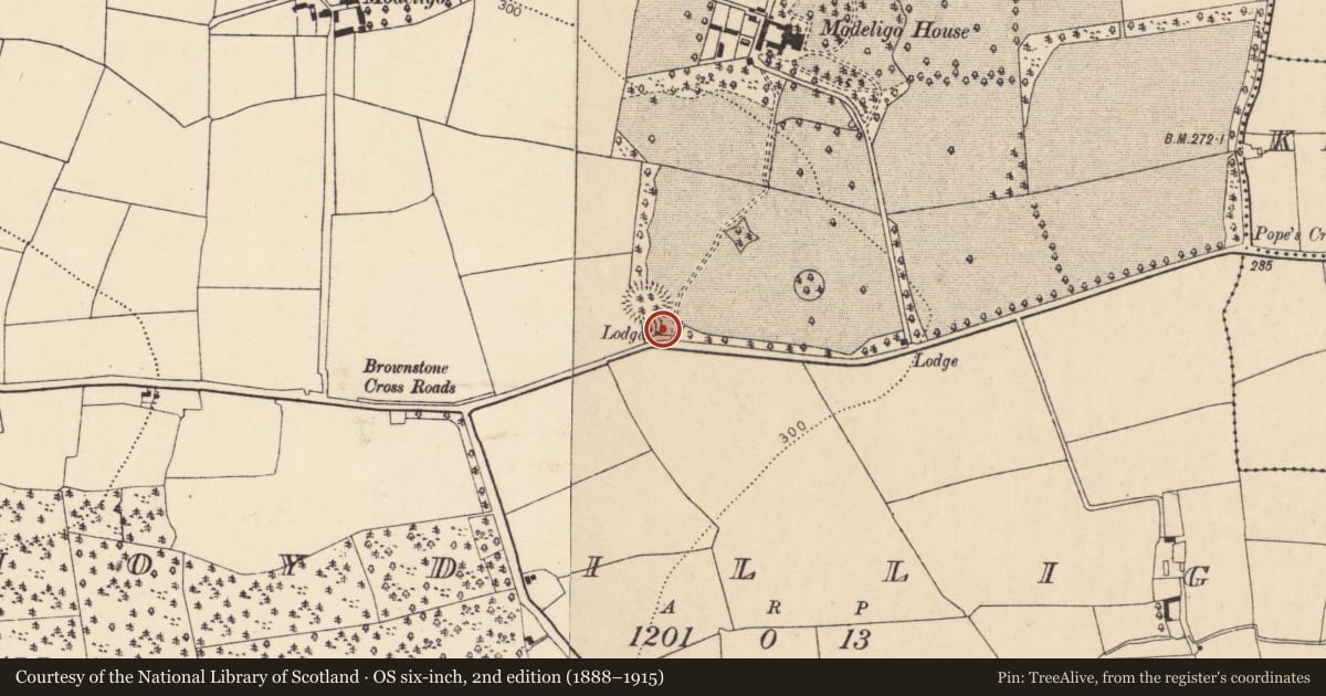 Ordnance Survey six-inch map, 2nd edition (1888–1915) covering the location of Designed landscape - belvedere, Moydilliga, County Cork, with a pin at the register's coordinates