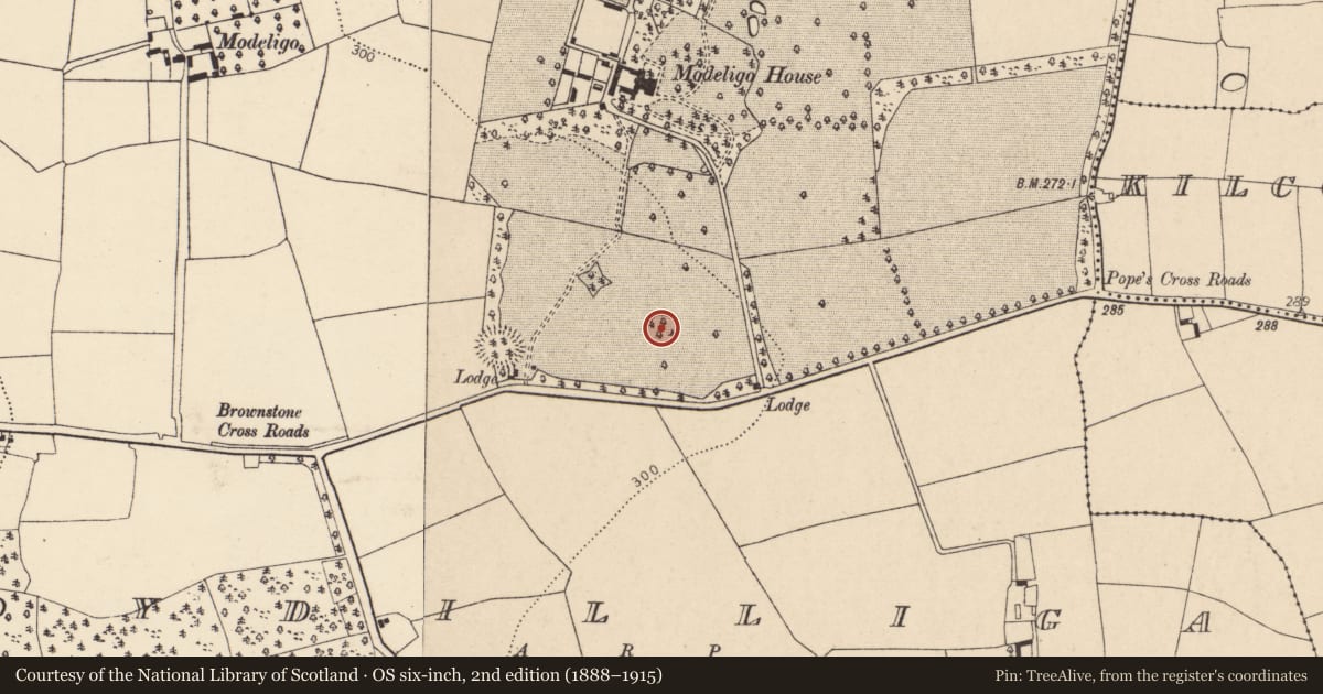 Ordnance Survey six-inch map, 2nd edition (1888–1915) covering the location of Enclosure, Moydilliga, County Cork, with a pin at the register's coordinates