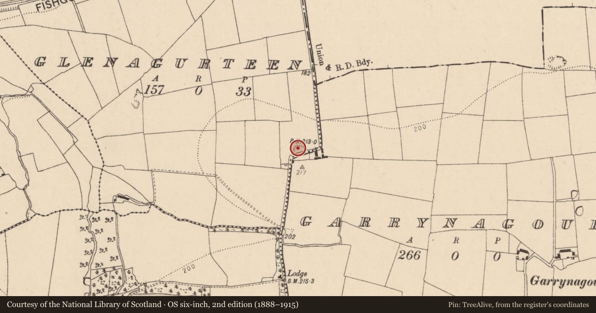 Ordnance Survey six-inch map, 2nd edition (1888–1915) covering the location of Ringfort - rath, Garrynagoul, Glenagurteen, County Cork, with a pin at the register's coordinates