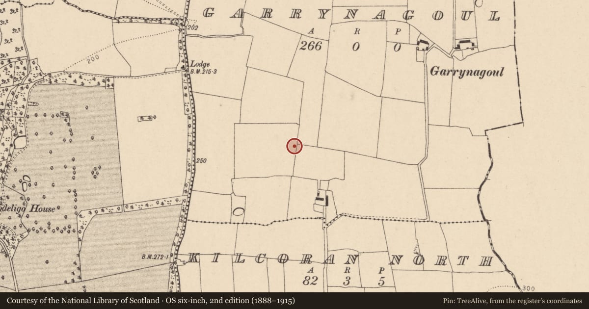 Ordnance Survey six-inch map, 2nd edition (1888–1915) covering the location of Kiln - lime, Garrynagoul, County Cork, with a pin at the register's coordinates