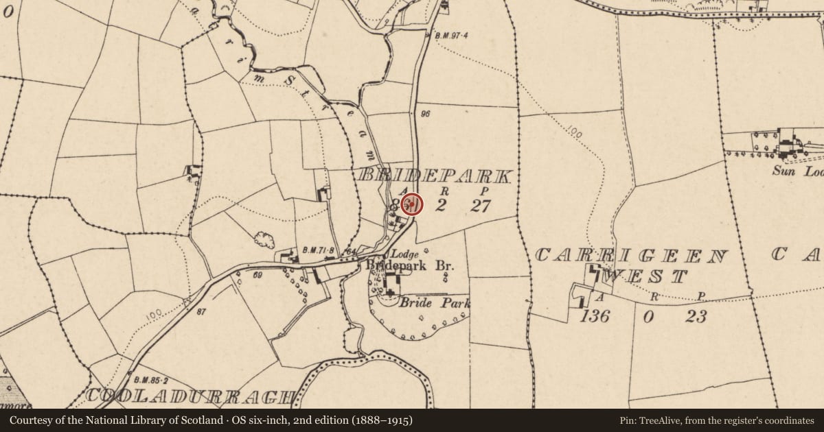 Ordnance Survey six-inch map, 2nd edition (1888–1915) covering the location of House - vernacular house, Bridepark, County Cork, with a pin at the register's coordinates