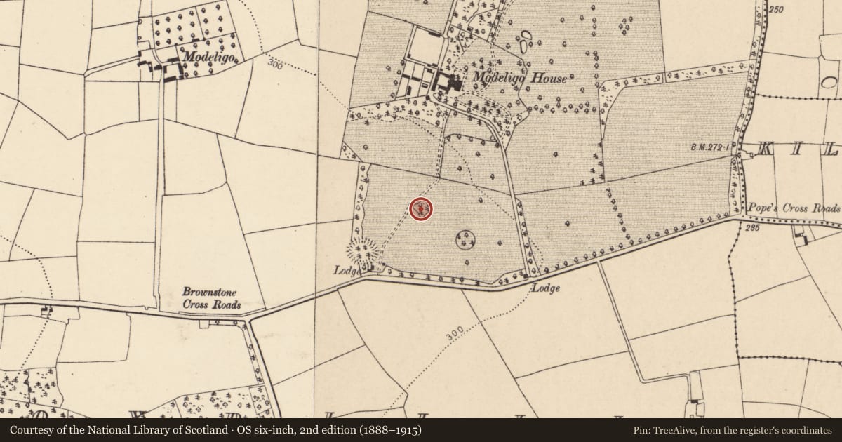 Ordnance Survey six-inch map, 2nd edition (1888–1915) covering the location of Enclosure, Moydilliga, County Cork, with a pin at the register's coordinates