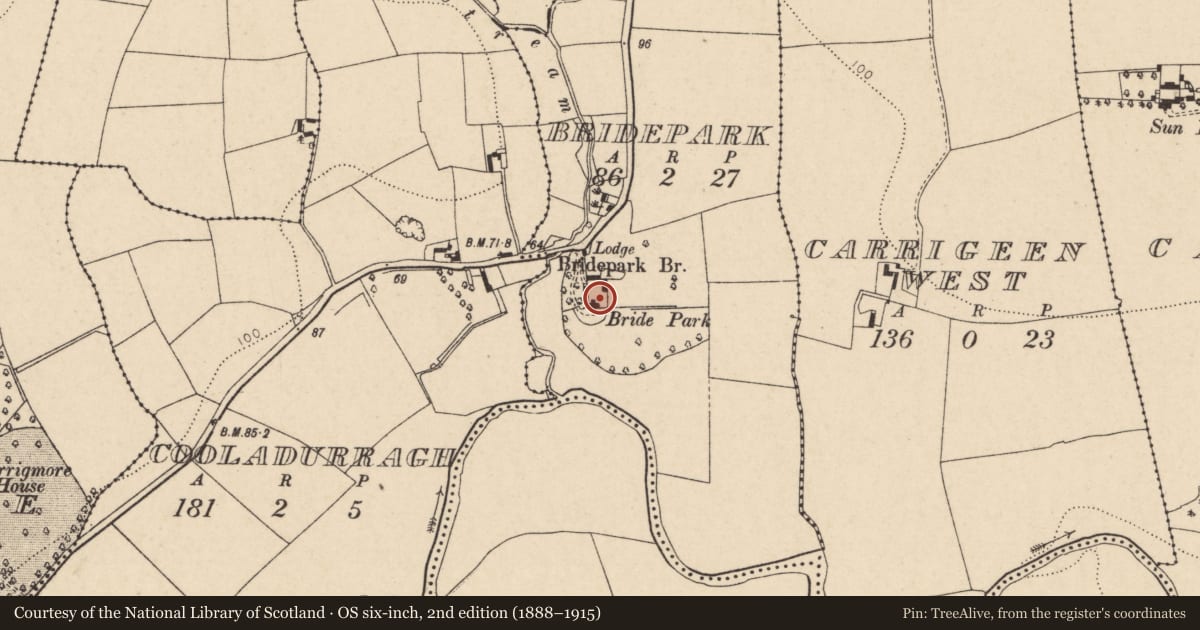 Ordnance Survey six-inch map, 2nd edition (1888–1915) covering the location of Country house, Bridepark, County Cork, with a pin at the register's coordinates