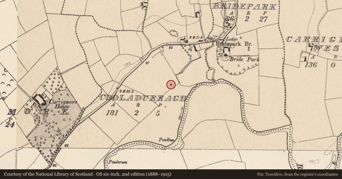 Ordnance Survey six-inch map, 2nd edition (1888–1915) covering the location of Enclosure, Cooladurragh, County Cork, with a pin at the register's coordinates